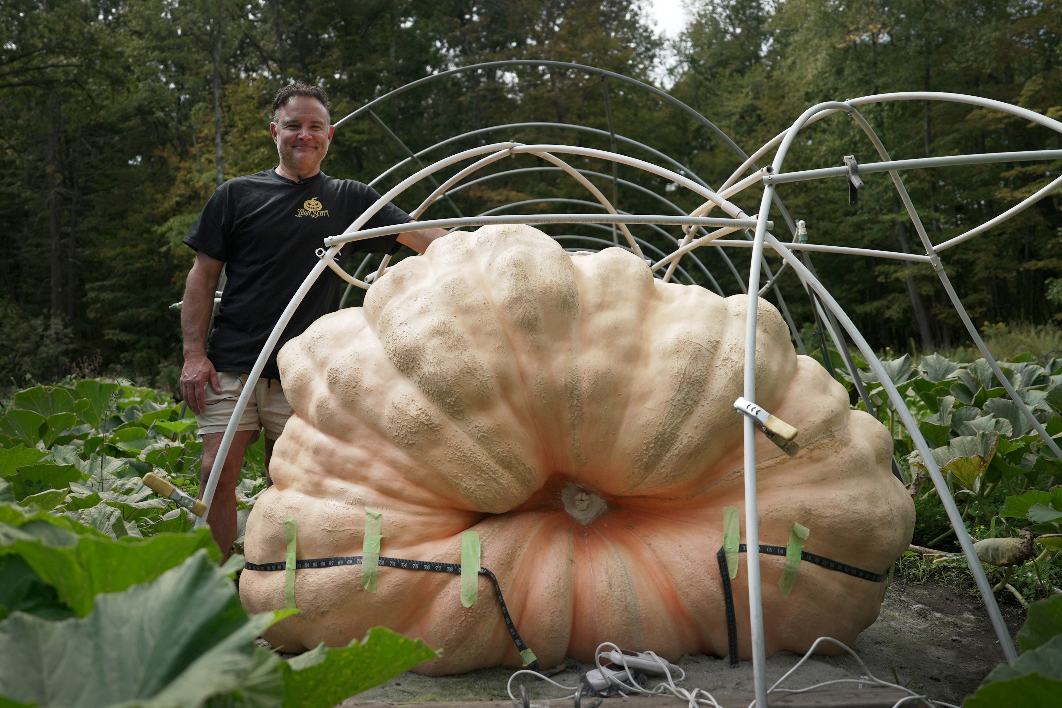 How to grow a giant pumpkin, with help from science – NBC New York
